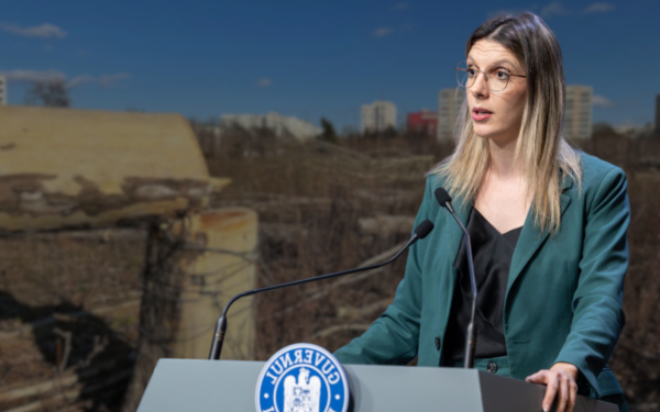 Spațiile verzi, protejate prin lege: Distrugerea va fi pedepsită cu închisoare