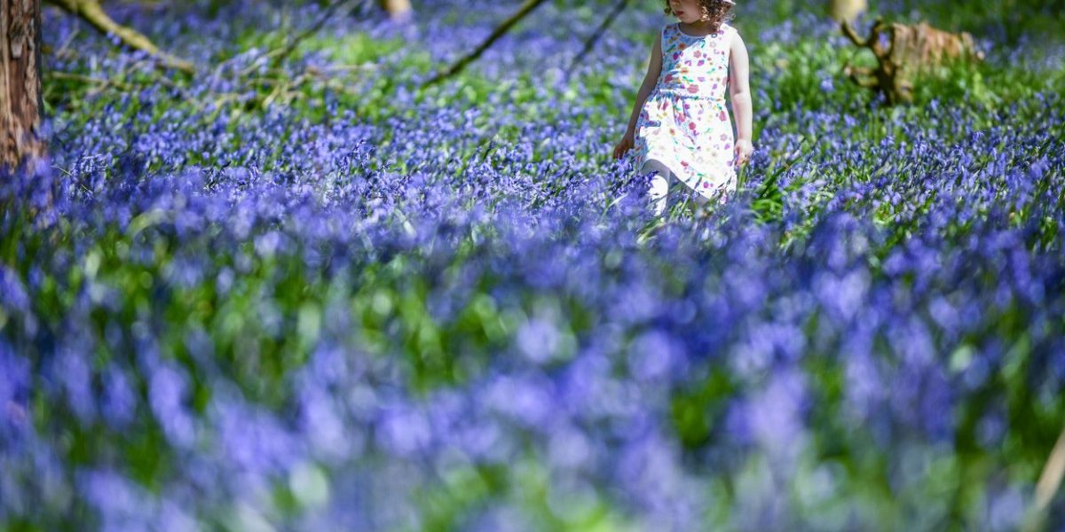 Vreme neobișnuită în România: meteorologii anunță temperaturi peste media perioadei