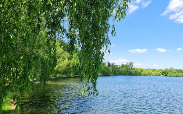 Vremea de Florii se schimbă radical de la o zi la alta