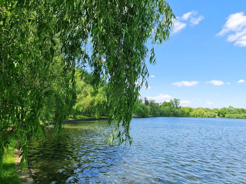 Vremea de Florii se schimbă radical de la o zi la alta