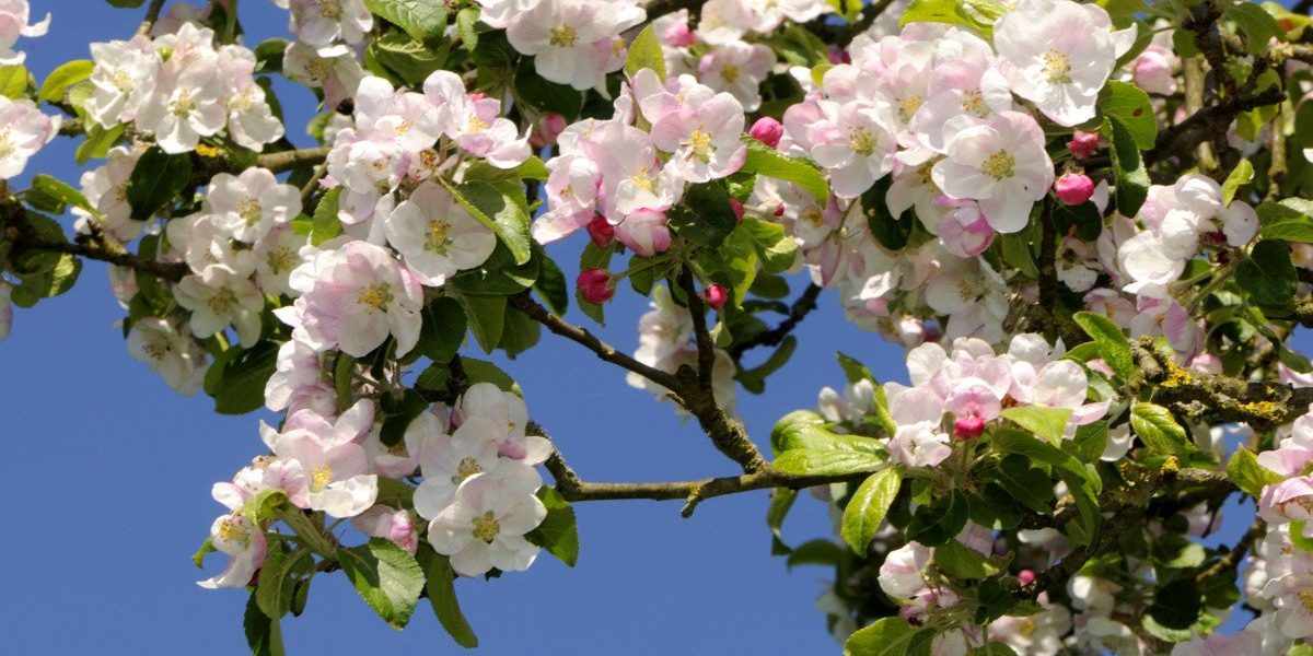 Vremea de Paște, anunțată de ANM: prognoza pe regiuni