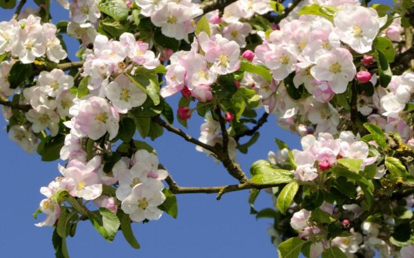 Vremea de Paște, anunțată de ANM: prognoza pe regiuni