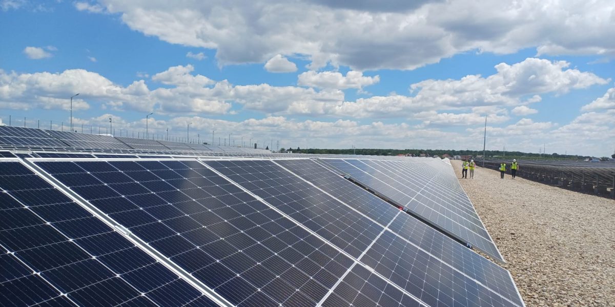 Băieții „deștepți” din energie, la vânzare pe OLX: Parcuri solare cu avize, negociabil!