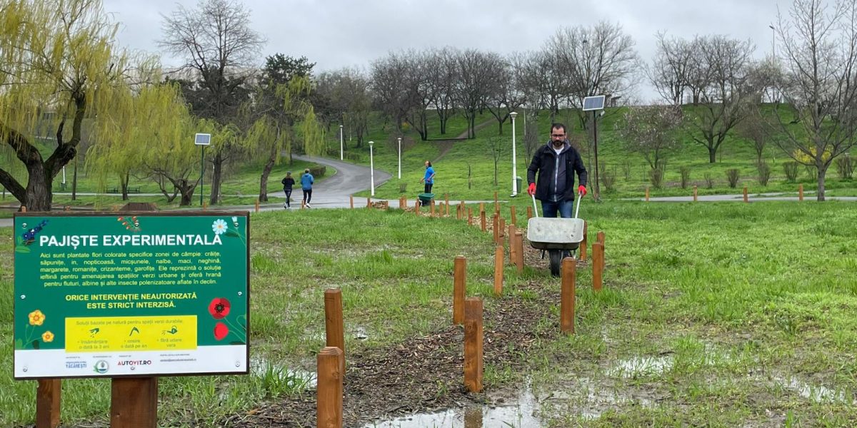 În Parcul Tineretului din București, o zonă de câțiva metri pătrați aflată sub administrarea Asociației Parcul Natural București, a avut loc recent o activitate de întreținere a unei pajiști urbane, părând, la prima vedere, o intervenție simplă în mijlocul unei zile înnorate