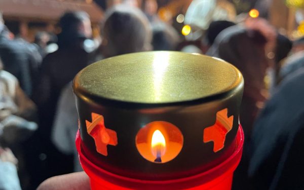 Învierea cu drujbă: Mărturii din satul cu biserică și copaci uciși lângă București