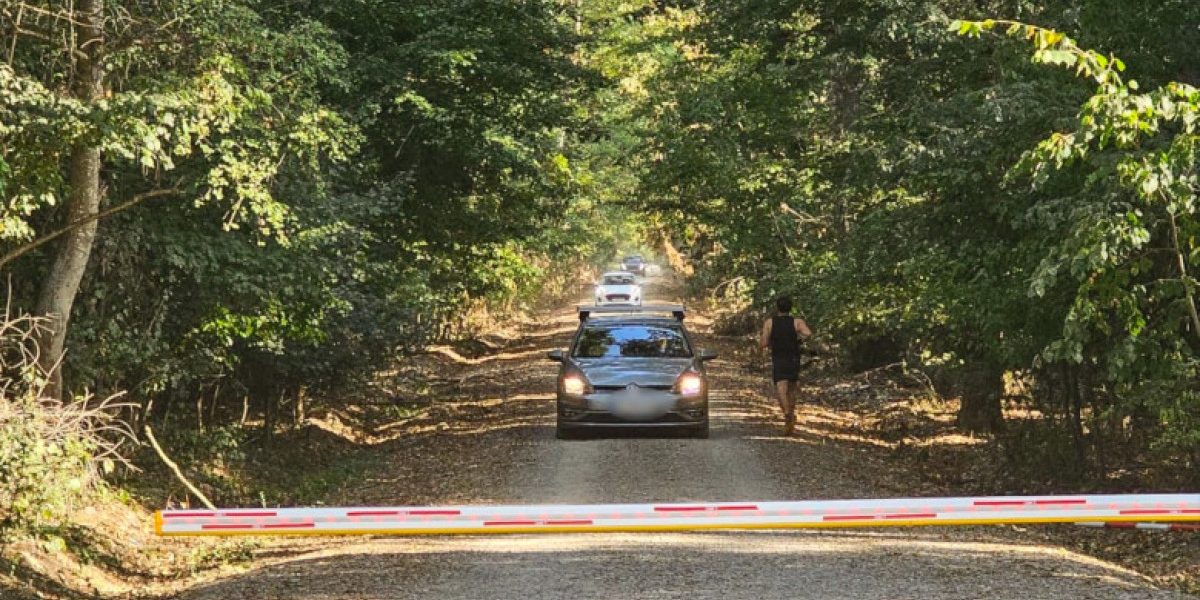 Ministerul Mediului învinge: Raportul din Pădurea Băneasa, în instanță