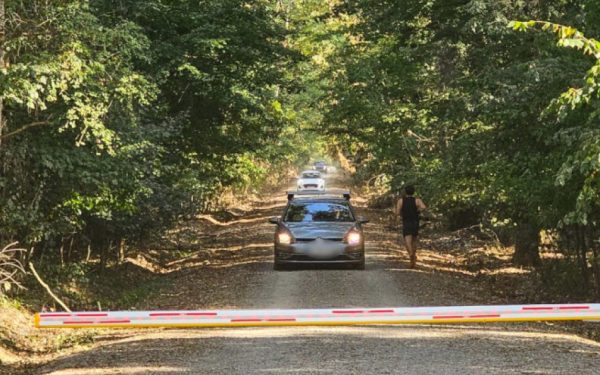 Ministerul Mediului învinge: Raportul din Pădurea Băneasa, în instanță