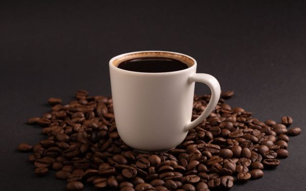 Cofeina dă dependență și furnicilor? Experiment șocant dezvăluie tot
