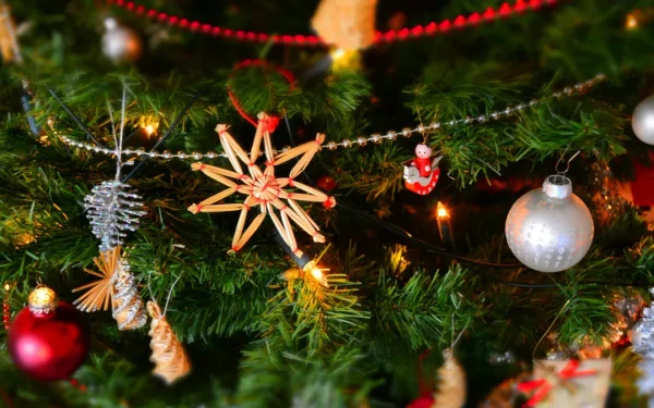 Ungaria: Referendum pentru zi liberă de Crăciun pe 24 decembrie