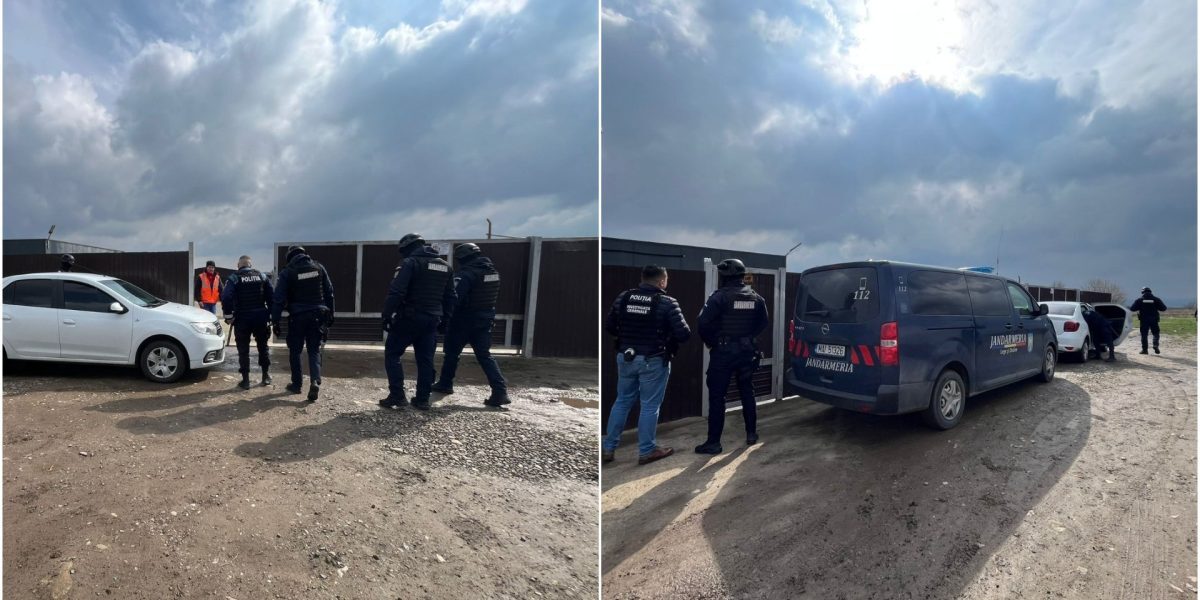Percheziții la un primar din Suceava și la adăpostul de câini al fiului său, într-un dosar de eutanasiere ilegală Joi, au avut loc percheziții la locuința primarului comunei Berchișești, Violeta Țăran, și la adăpostul de câini gestionat de fiul acesteia, Cătălin Țăran