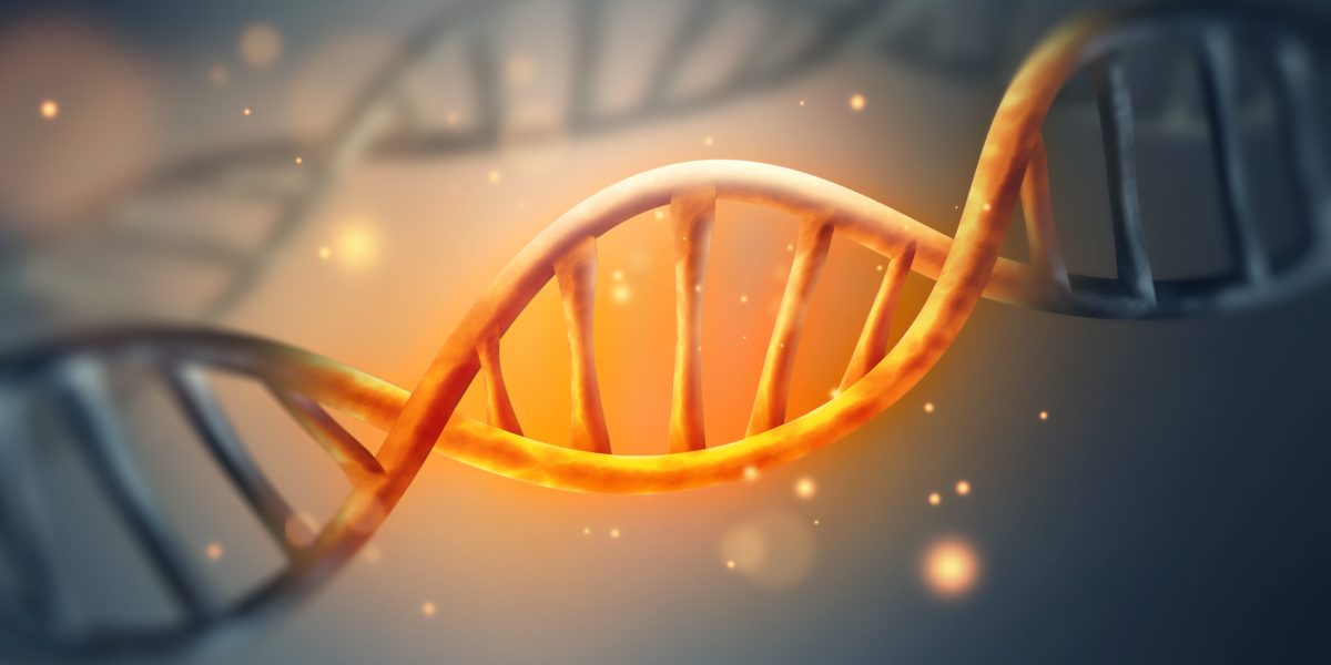 Unde se ascund secretele codului genetic: indicii-cheie?