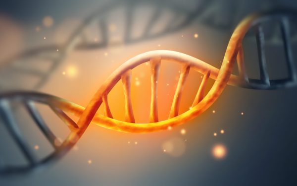 Unde se ascund secretele codului genetic: indicii-cheie?