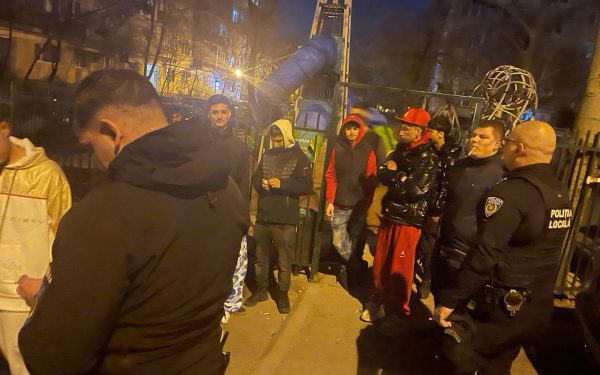 Cojile de semințe COSTĂ: 100 de euro amenda, curățenie cu POLIȚIE