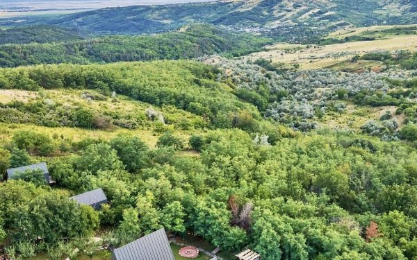 Arta Chalet: O oază de lux din Dealu Mare, visul devenit realitate în România
