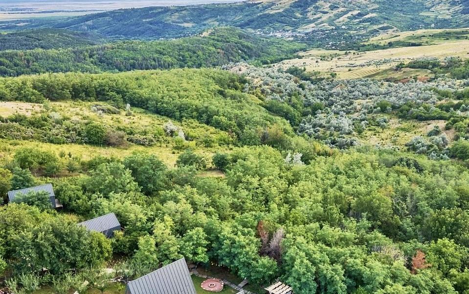 Arta Chalet: O oază de lux din Dealu Mare, visul devenit realitate în România