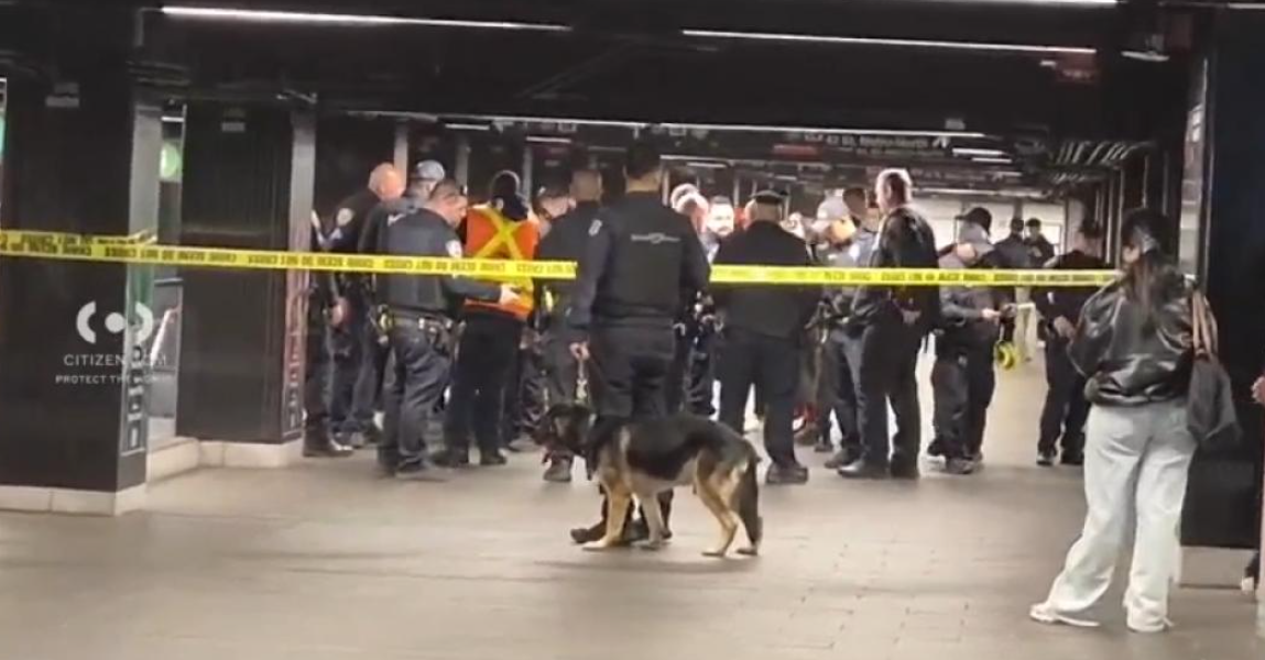 Americanul „Lucifer” a înjunghiat bătrâni în NY, ucis de poliție pe peron