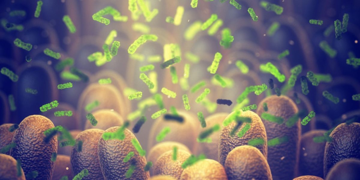 Bacterie-Ucigașă: Oamenii de Știință Revoluționează Lupta Împotriva Cancerului