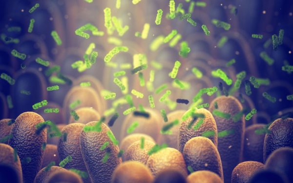 Bacterie-Ucigașă: Oamenii de Știință Revoluționează Lupta Împotriva Cancerului