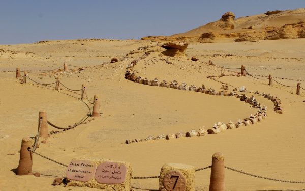 Un eveniment antic: Declinul Egiptului, legat de acum 4200 ani