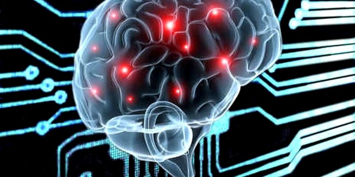 Obiceiul banal care-ți menține creierul tânăr și sănătos!