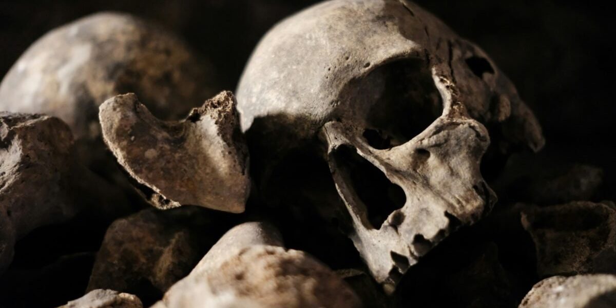 Parisul își redeschide porțile către trecut: Catacombele sunt din nou accesibile publicului Catacombele din Paris, celebrul labirint subteran care adăpostește osemintele a milioane de oameni, și-au redeschis porțile pentru vizitatori