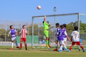 Chivu, aproape de istorie la Inter: Scudetto ca jucător șI antrenor