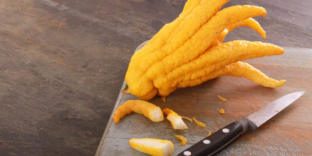 Citrusurile ne pot ajuta să reglam emoțiile naturale