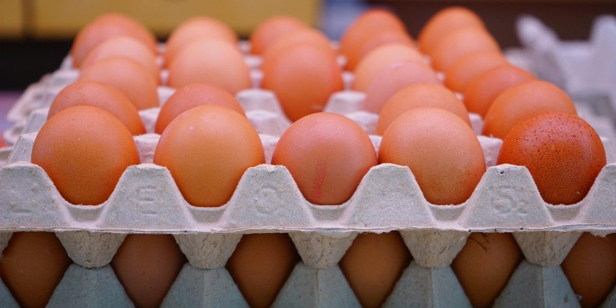 Ouăle cu Salmonella, blocate: 1,5 milioane nu ajung în magazine!