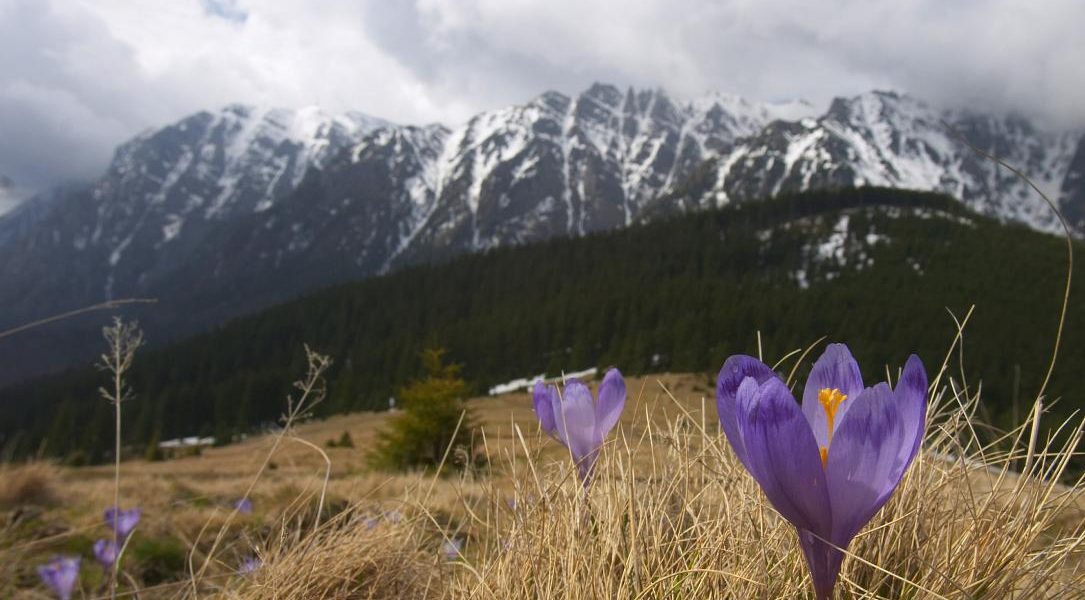 Ger năprasnic peste România de Paște: Vine iarna în aprilie