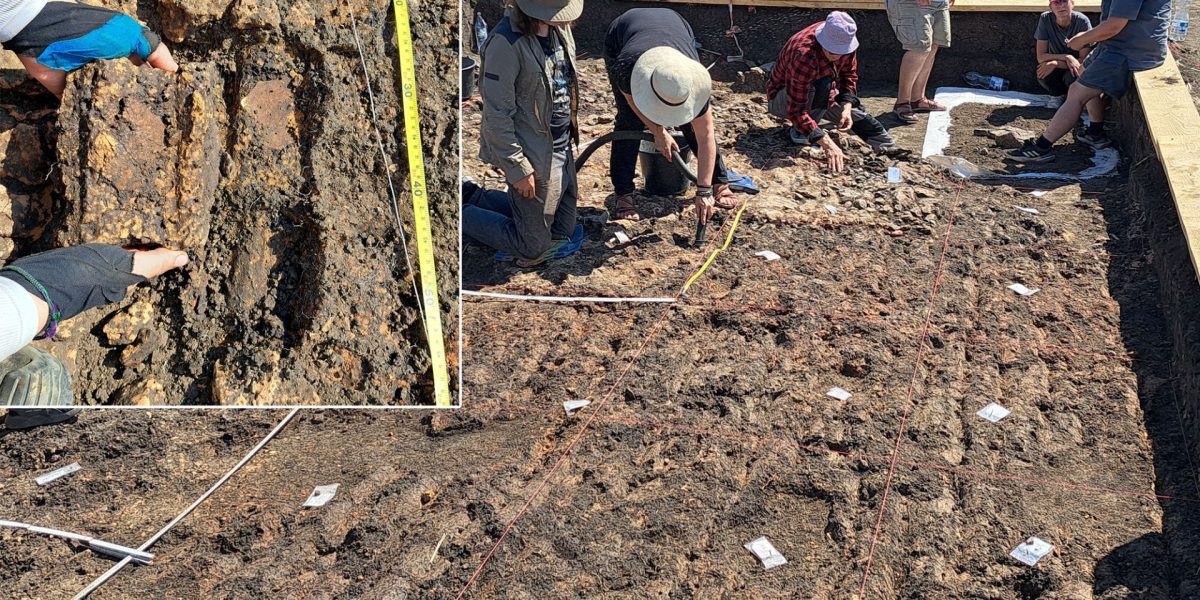 Descoperire ȘOC la Cucuteni: Arheologi din România și Germania dezvăluie secrete străvechi