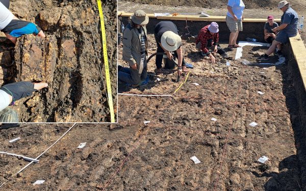 Descoperire ȘOC la Cucuteni: Arheologi din România și Germania dezvăluie secrete străvechi