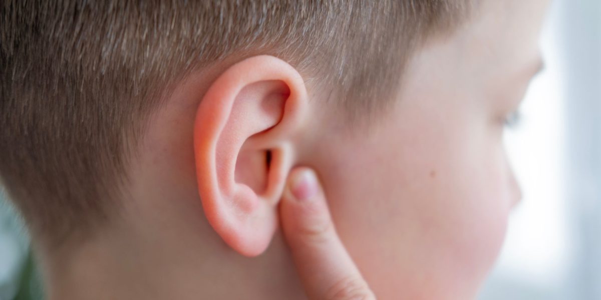 Cunoștințe la test: Care parte a corpului NU are rost biologic?