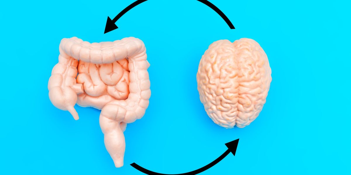 Mâncarea din copilărie îți „reprogramează” creierul: Studiu-bombă