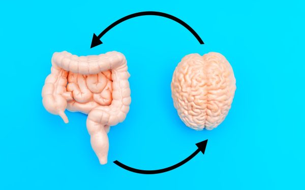 Mâncarea din copilărie îți „reprogramează” creierul: Studiu-bombă
