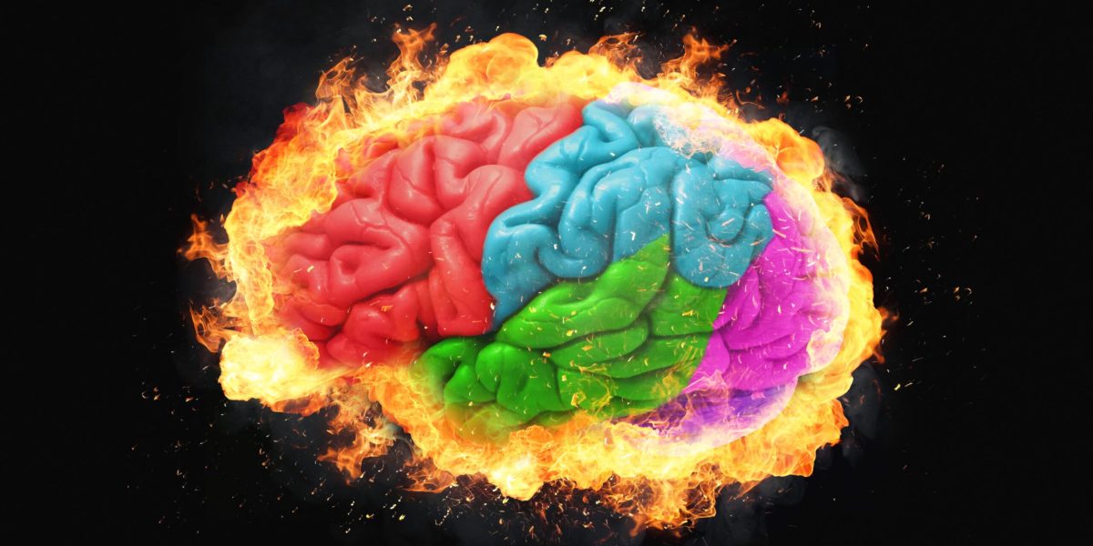 Creierul adolescentului nu se finalizează la 25 de ani, ci este un mit fiindcă dezvoltarea sa este un proces continuu, mult mai complex și nu se oprește brusc