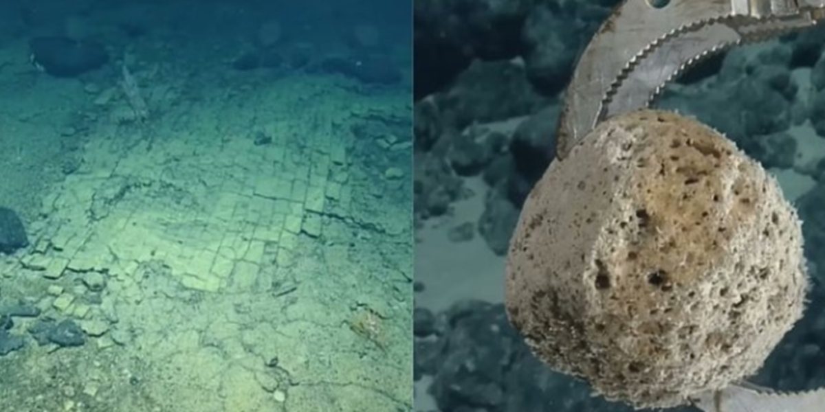 Alee misterioasă pe fundul Pacificului: Ce au descoperit cercetătorii