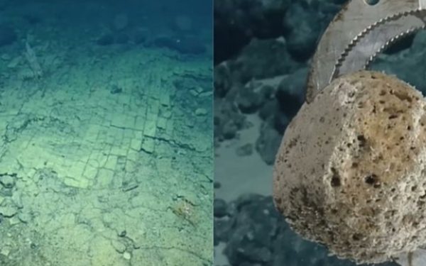 Alee misterioasă pe fundul Pacificului: Ce au descoperit cercetătorii