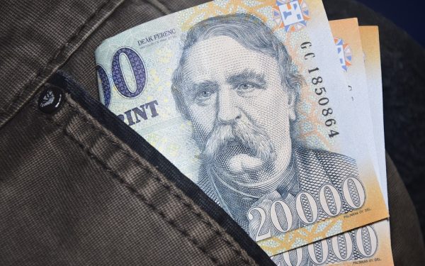 Forintul ungar, la maxim istoric după înfrângerea lui Viktor Orban