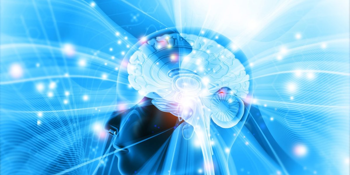 Descoperiri recente schimbă percepția asupra funcționării creierului uman Creierul uman continuă să surprindă comunitatea științifică în fiecare an, iar în 2025 au fost făcute multiple descoperiri care modifică profund înțelesurile despre dezvoltarea, memorie, percepție și bolile neurodegenerative