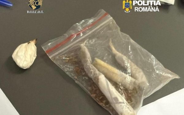 Procurorii DIICOT Cluj au dispus reținerea a doi bărbați, în vârstă de 43, respectiv 49 de ani, suspectați de trafic cu droguri de mare risc, în ultimele luni fiind descoperite cantități semnificative de substanțe suspecte și sume de bani