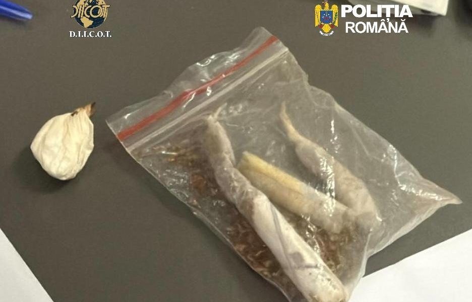 Procurorii DIICOT Cluj au dispus reținerea a doi bărbați, în vârstă de 43, respectiv 49 de ani, suspectați de trafic cu droguri de mare risc, în ultimele luni fiind descoperite cantități semnificative de substanțe suspecte și sume de bani