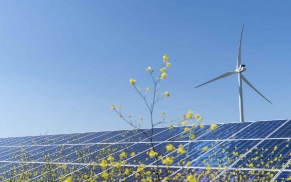 Polonia înregistrează prețuri negative la electricitate pentru prosumatori din cauza producției record din surse eoliene și solare