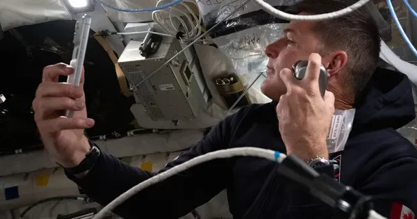 NASA folosește iPhone 17 Pro Max pentru misiuni spațiale Decurajată de imaginile recente, NASA a confirmat oficial că astronauții săi de pe misiunea Artemis II utilizează iPhone 17 Pro Max în timpul zborului lor în jurul Lunii