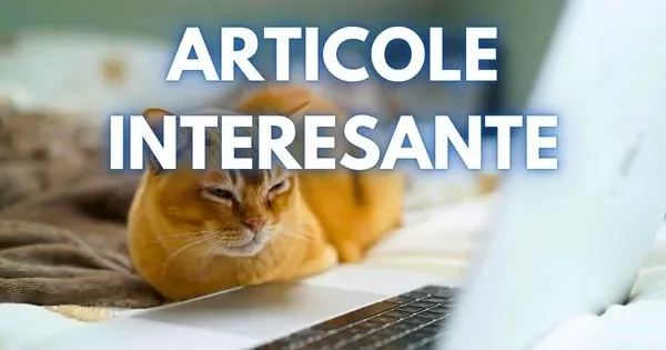Articole MUST-READ astăzi: Scandal în politica românească și evenimente globale