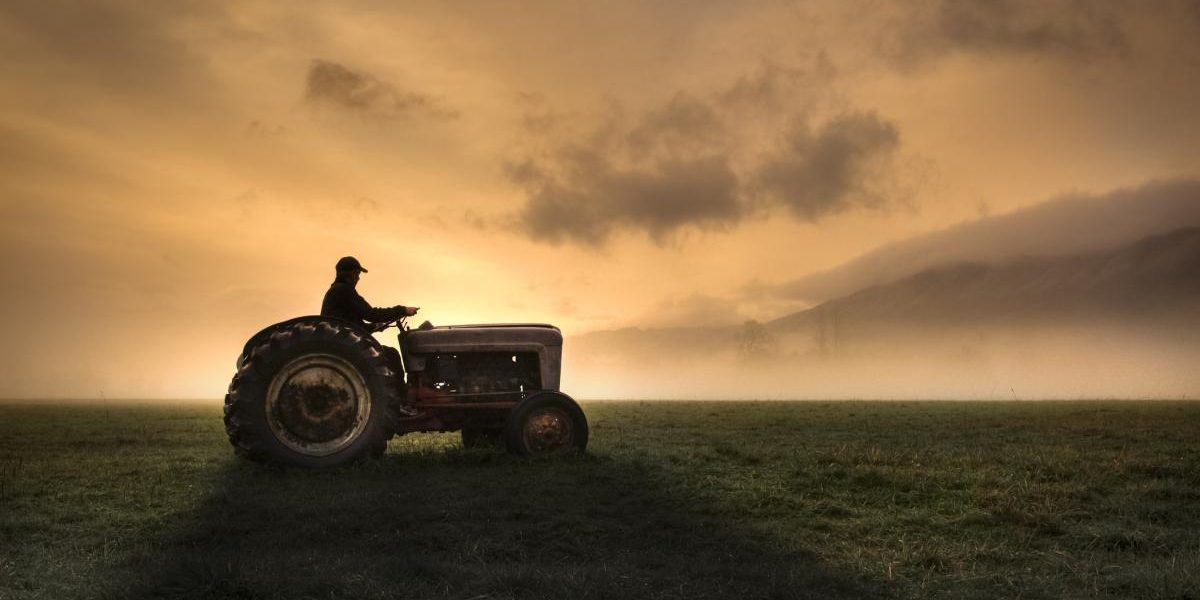 Fermierii, strigăt de alarmă: Criza în agricultură, Guvernul și UE, la probă