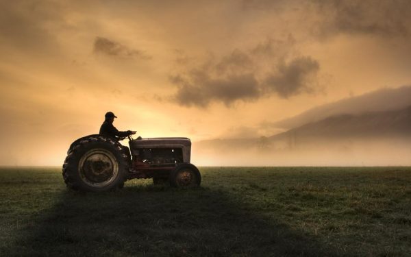 Fermierii, strigăt de alarmă: Criza în agricultură, Guvernul și UE, la probă