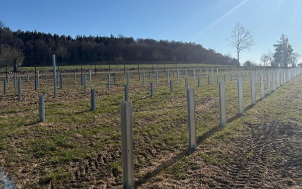 Românii de la Parapet construiesc gigant: parc fotovoltaic în Germania