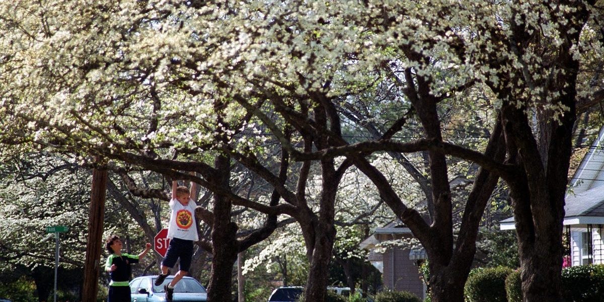 După una dintre cele mai reci luni februarie înregistrate în ultimii ani, regiunea Cape Fear din Carolina de Nord a trecut brusc la cea mai caldă și uscată primăvară din ultimele decenii