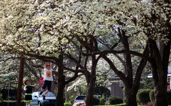 După una dintre cele mai reci luni februarie înregistrate în ultimii ani, regiunea Cape Fear din Carolina de Nord a trecut brusc la cea mai caldă și uscată primăvară din ultimele decenii