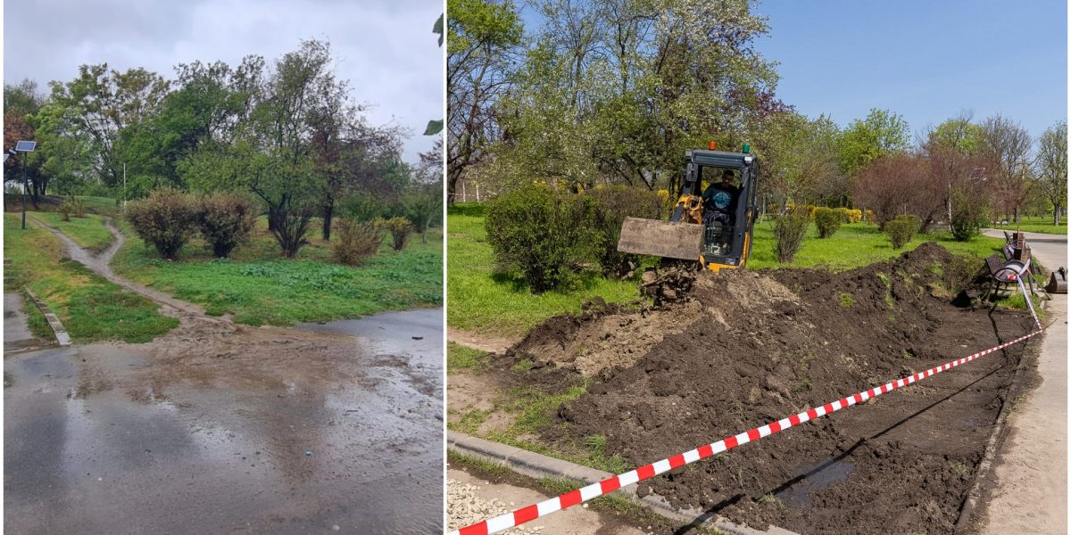 Grădina de ploaie, o premieră în București: Parcul Tineretului, model de sustenabilitate